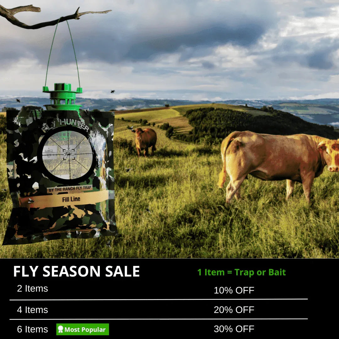 Fly Hunter. - The Ranch Pest Control