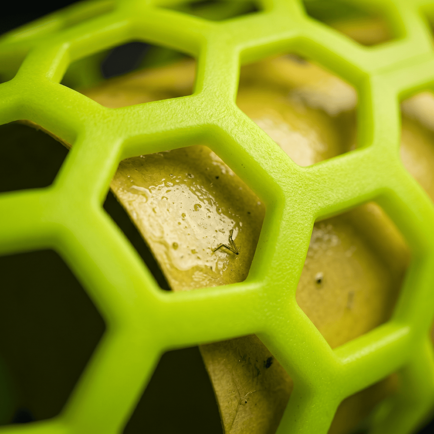 YellowJacket Sticky Trap