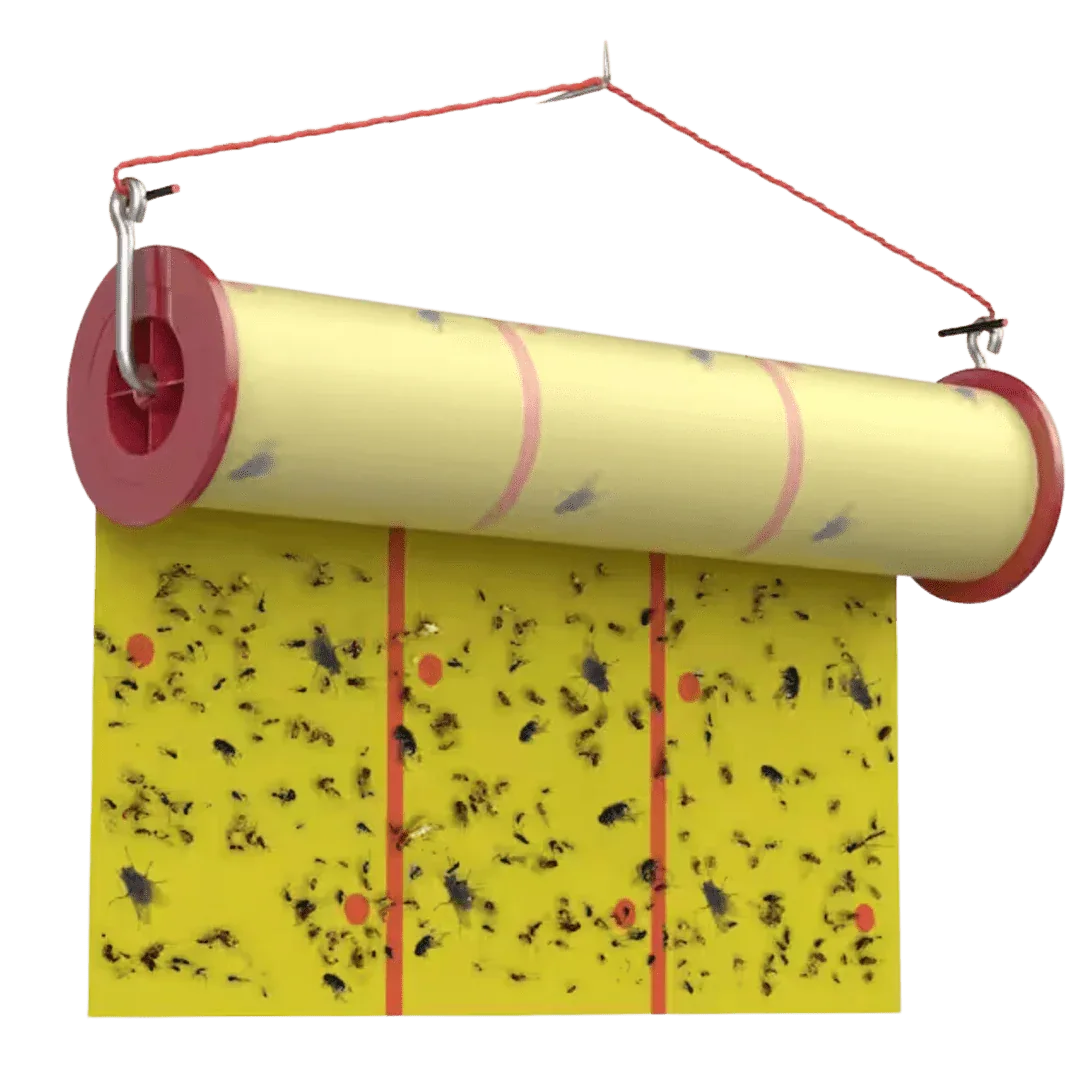 Giant Sticky Fly Tape Roll (15M) – The Ranch Pest Control