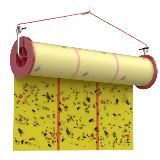 Giant Sticky Fly Tape Roll (15M) - The Ranch Pest Control