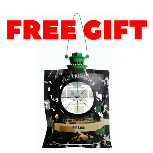 Fly Hunter (Free Gift)