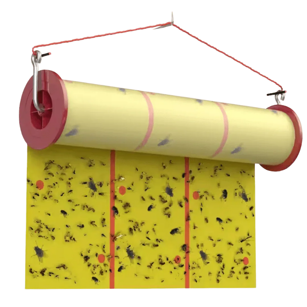 The Ranch Fly Trap – The Ranch Pest Control